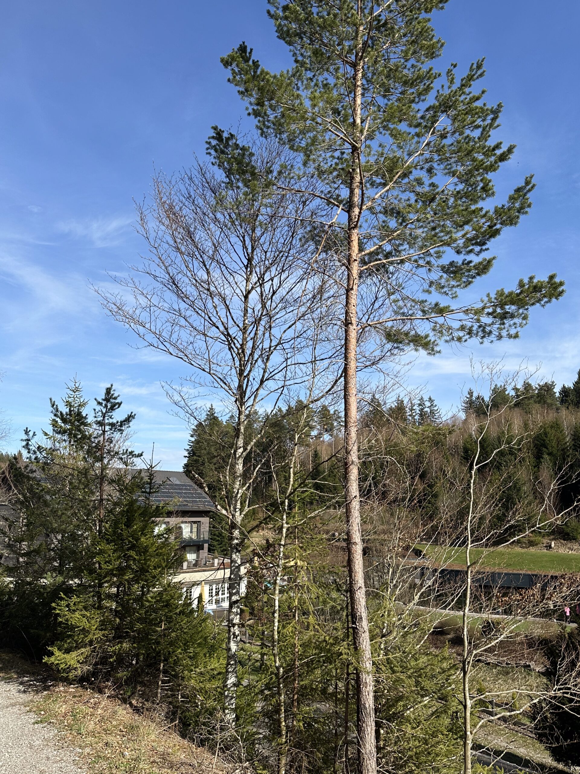 Retreatort Waldsägmühle im Schwarzwald 1